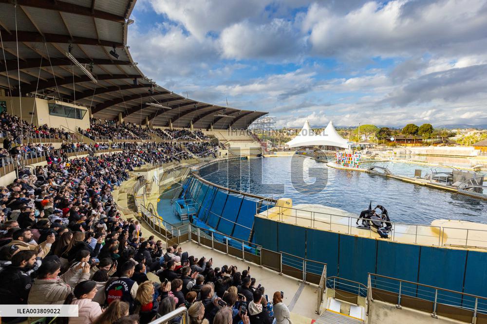 Last Day Before The Final Closure Of Marineland - Antibes