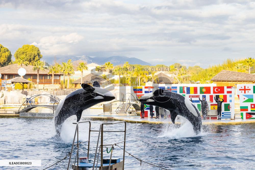 Last Day Before The Final Closure Of Marineland - Antibes
