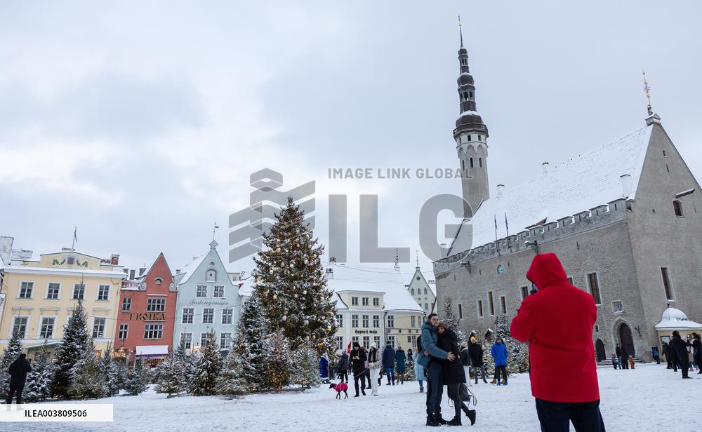 A magical winter forest