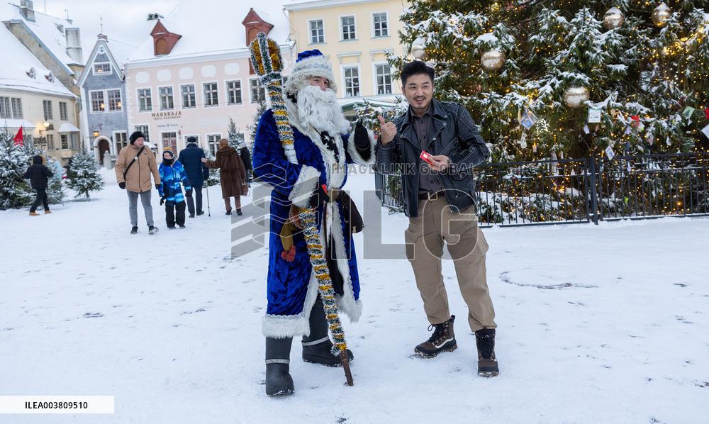 A magical winter forest