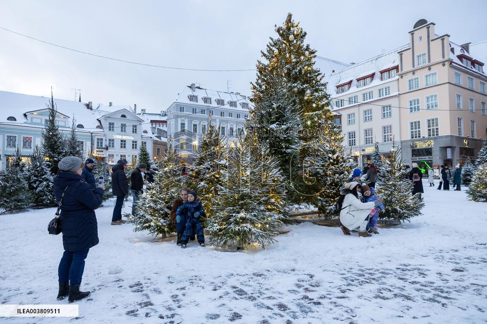 A magical winter forest