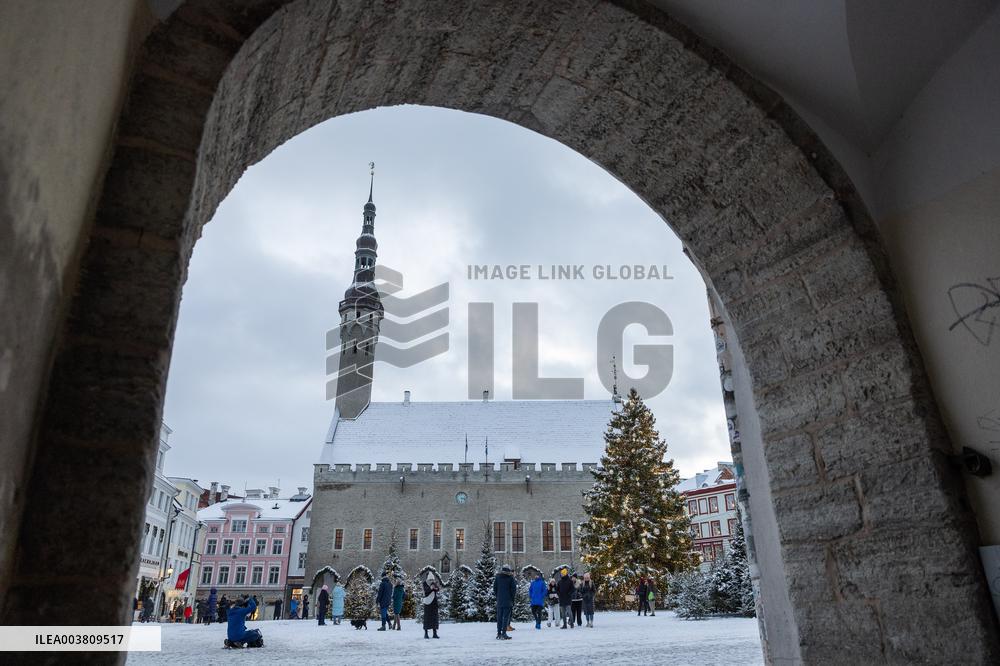A magical winter forest