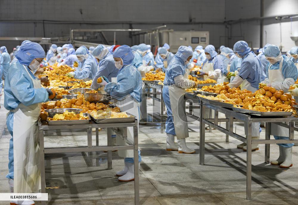 China Navel Oranges Manufacturing Industry