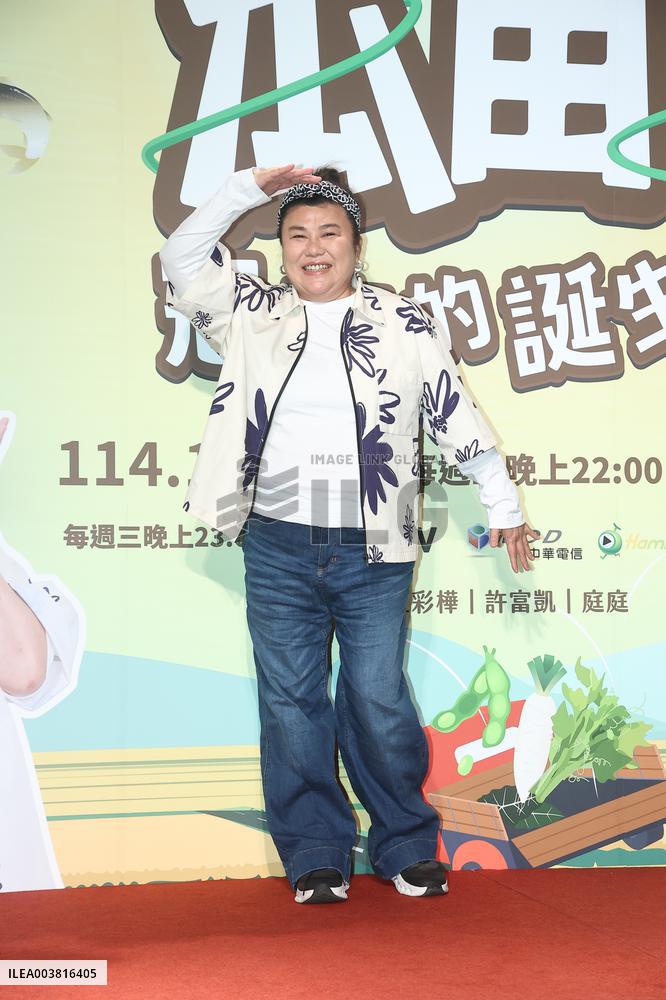Taiwanese actress Mei hsiu Lin