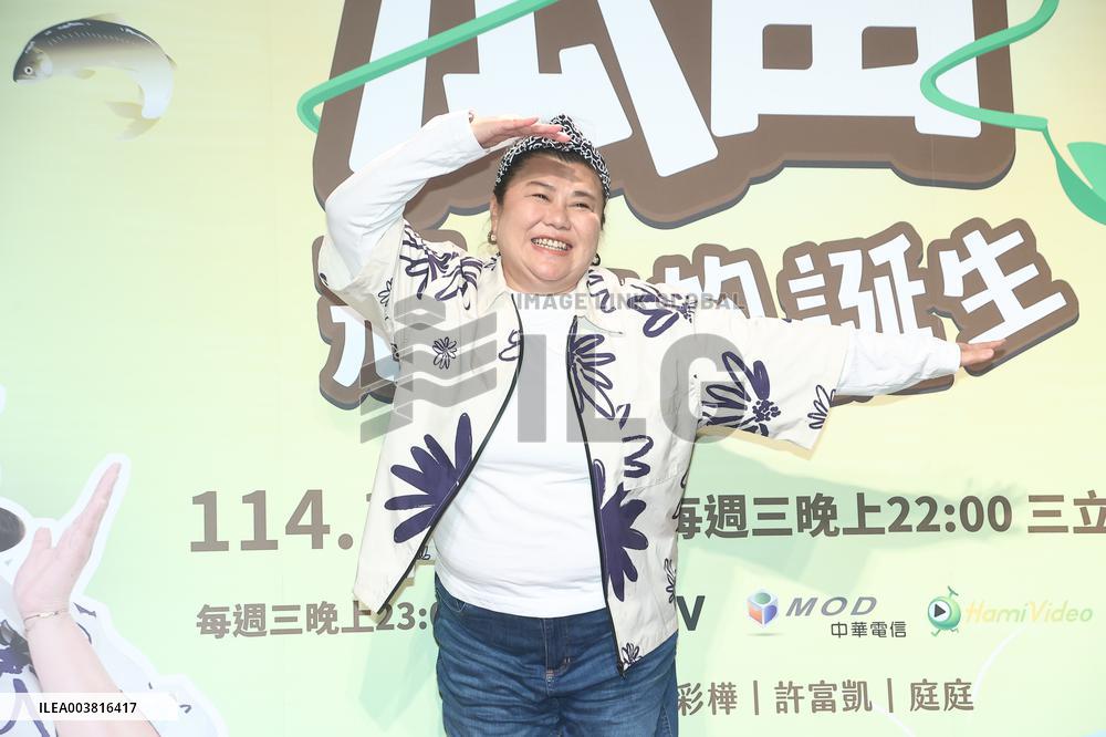 Taiwanese actress Mei hsiu Lin