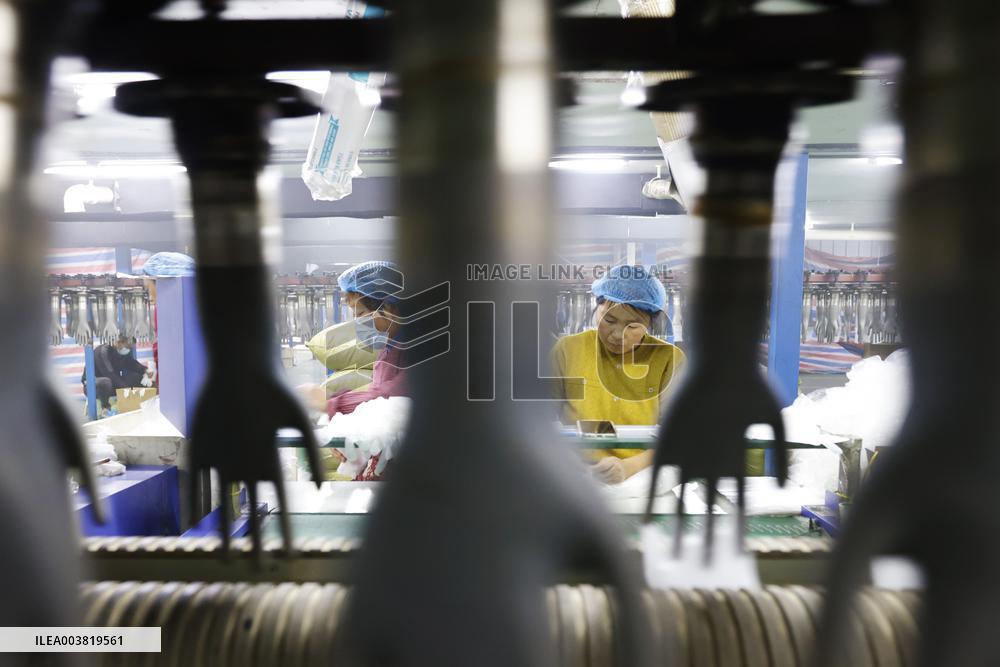 China PVC Gloves Manufacturing Industry