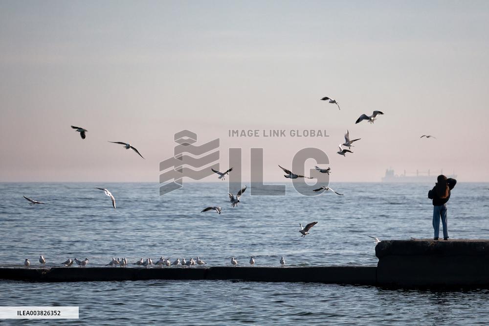 Odesa beach in winter