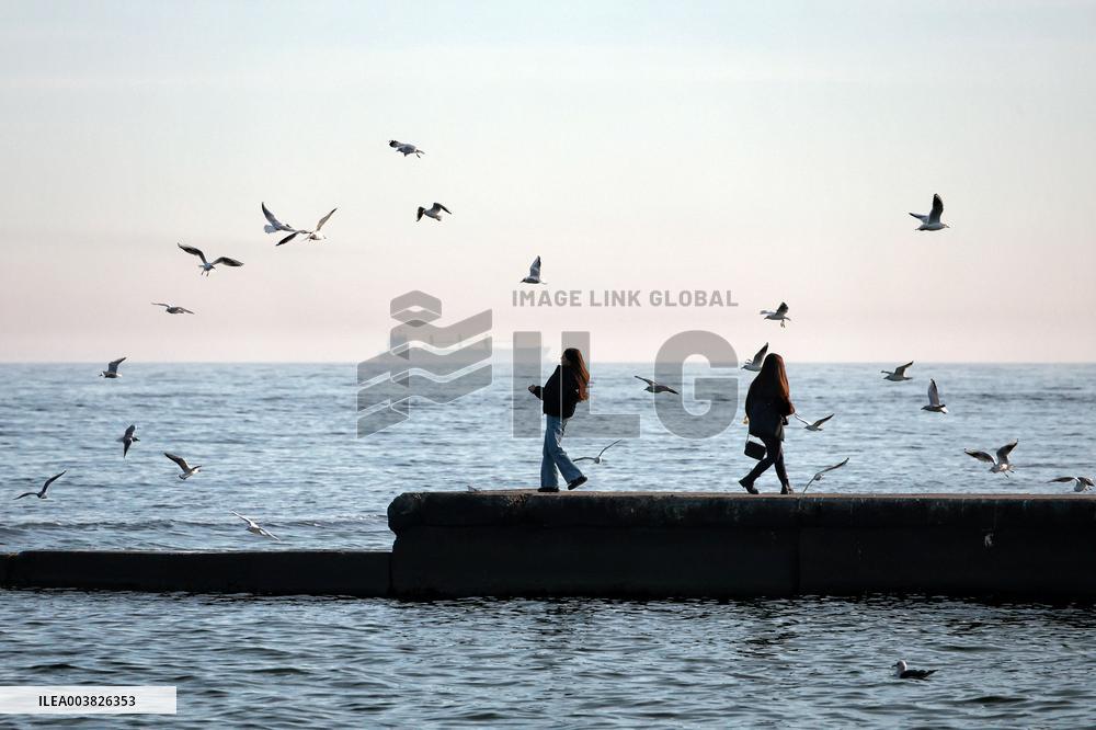 Odesa beach in winter