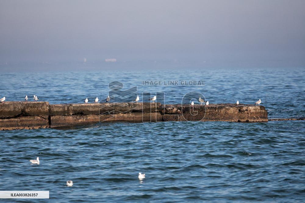 Odesa beach in winter