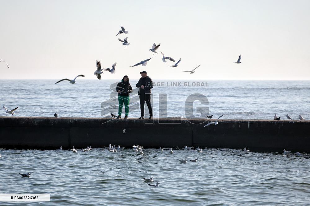 Odesa beach in winter