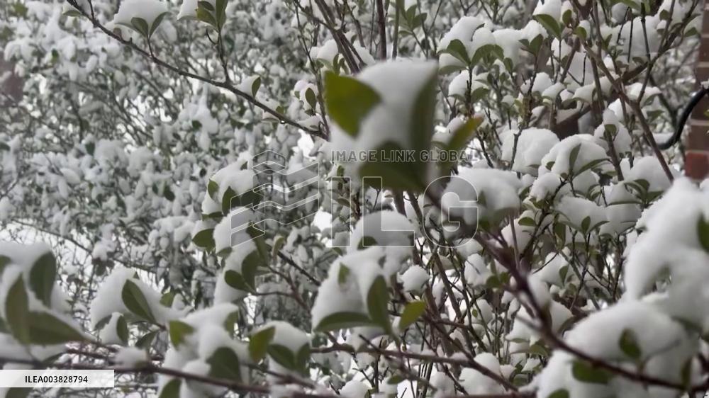 US: Major Winter Storm Sweeps Across South, Prompting States Of Emergency 4