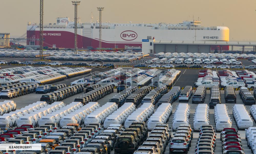 Byd Hefei Wheel Clean Energy Vehicle Ro-RO Ship