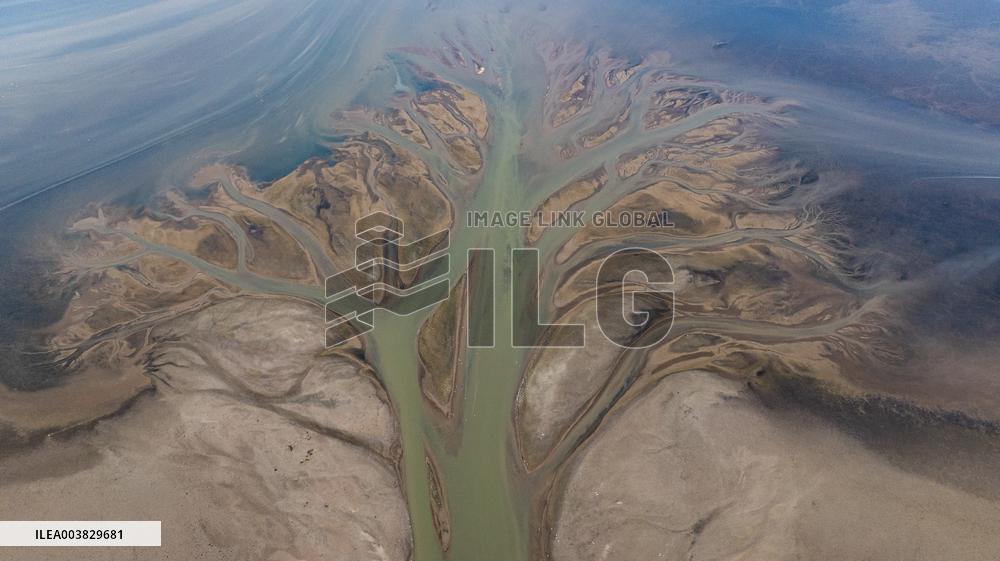 Poyang Lake Tree Shape Landscape