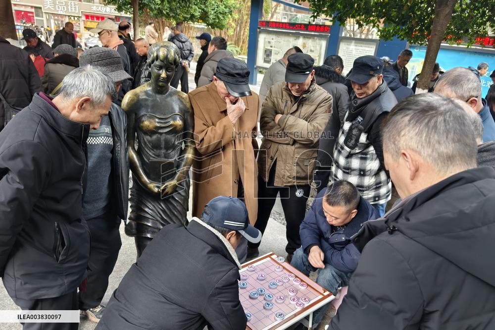 China Elderly Service Network
