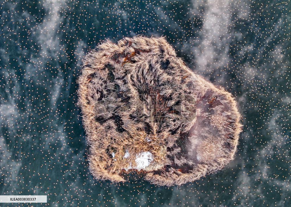 Dahei River Country Park - China