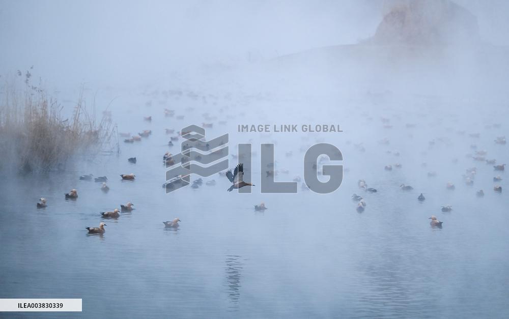 Dahei River Country Park - China