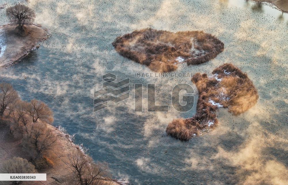 Dahei River Country Park - China