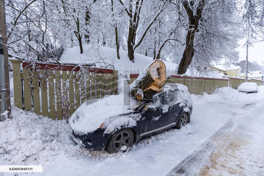 Snowstorm hits Estonia