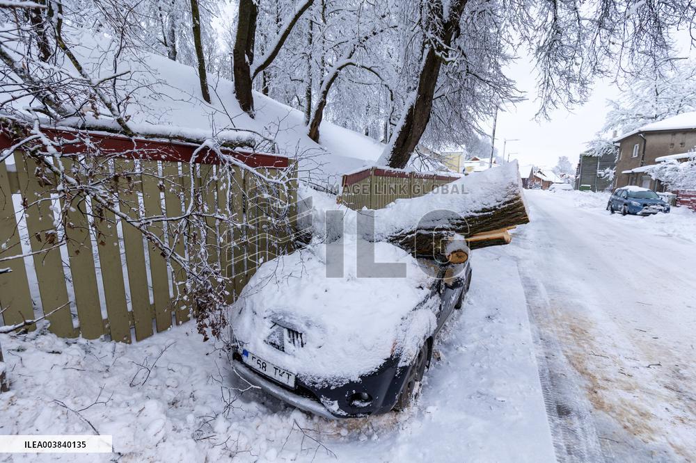 Snowstorm hits Estonia