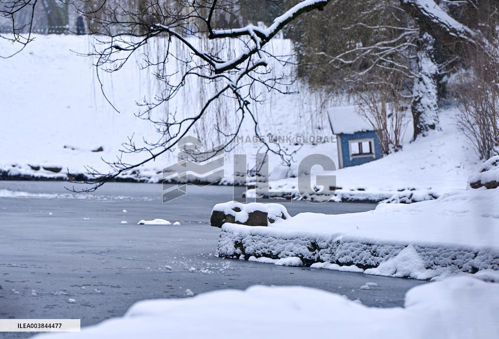 Stryiskyi Park in Lviv in winter