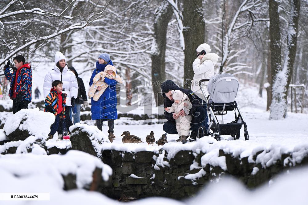 Stryiskyi Park in Lviv in winter