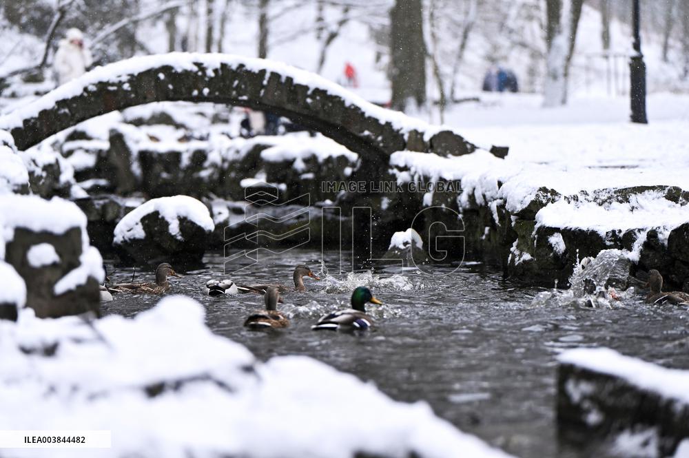 Stryiskyi Park in Lviv in winter