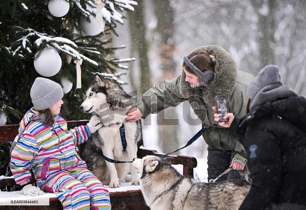 Stryiskyi Park in Lviv in winter