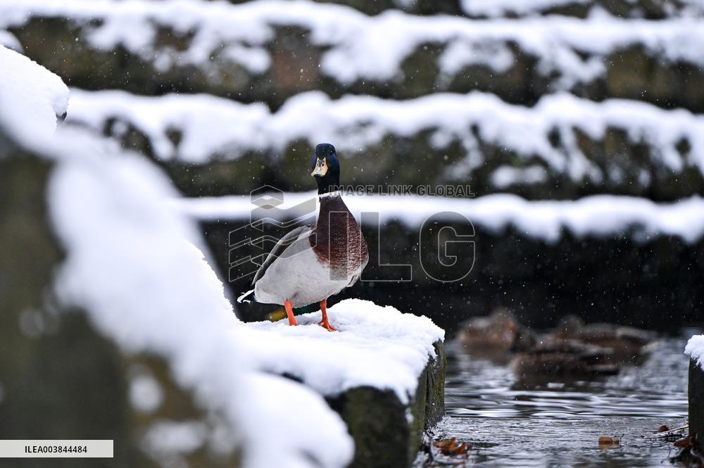 Stryiskyi Park in Lviv in winter