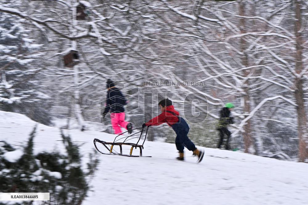 Stryiskyi Park in Lviv in winter