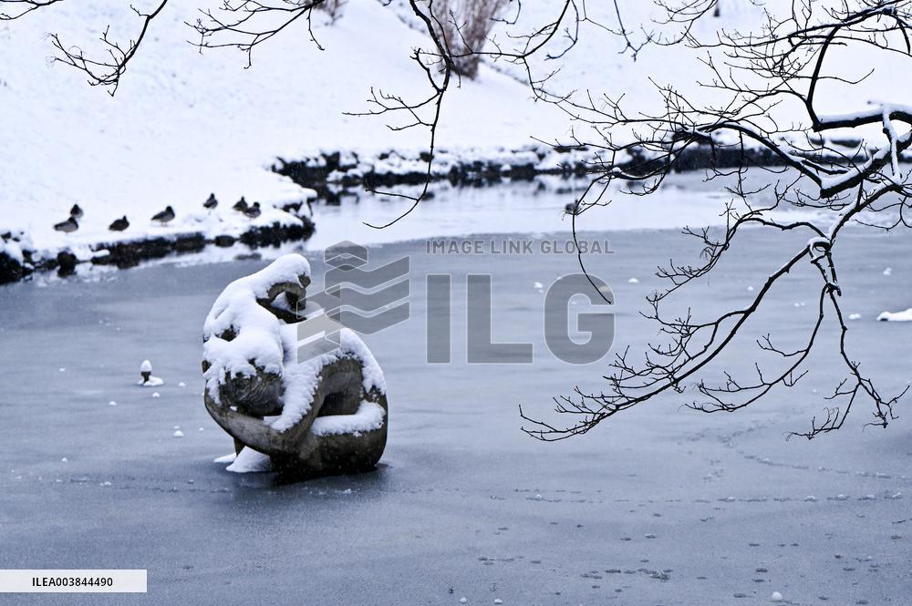 Stryiskyi Park in Lviv in winter