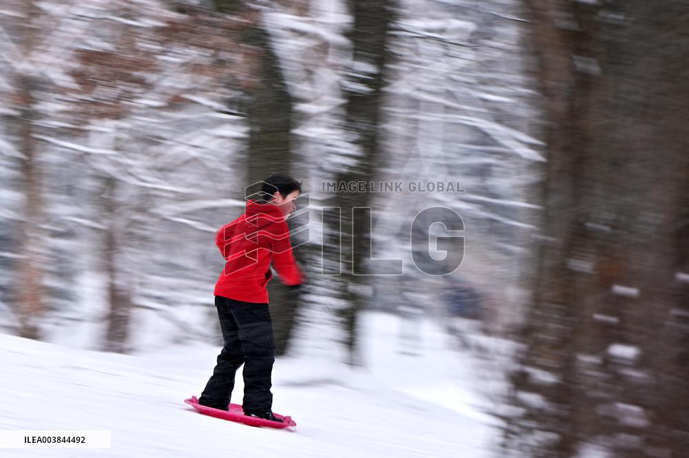 Stryiskyi Park in Lviv in winter