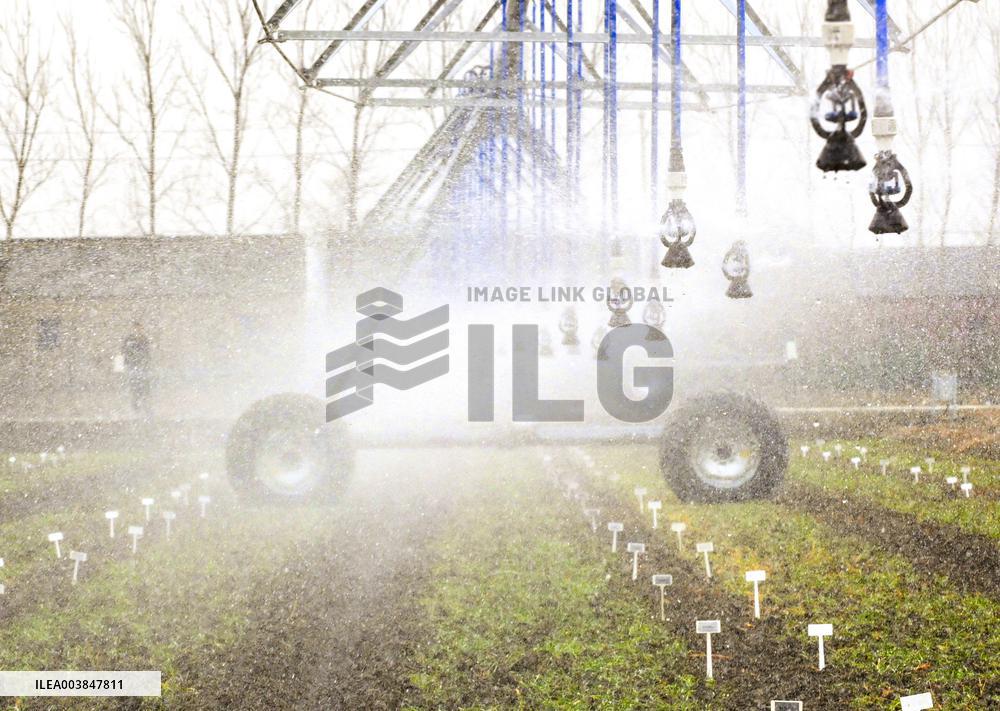 Farm Irrigation