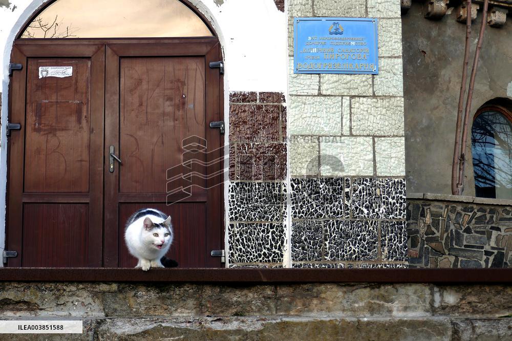 Kuialnyk Sanatorium in OdesaKuialnyk Sanatorium in Odesa