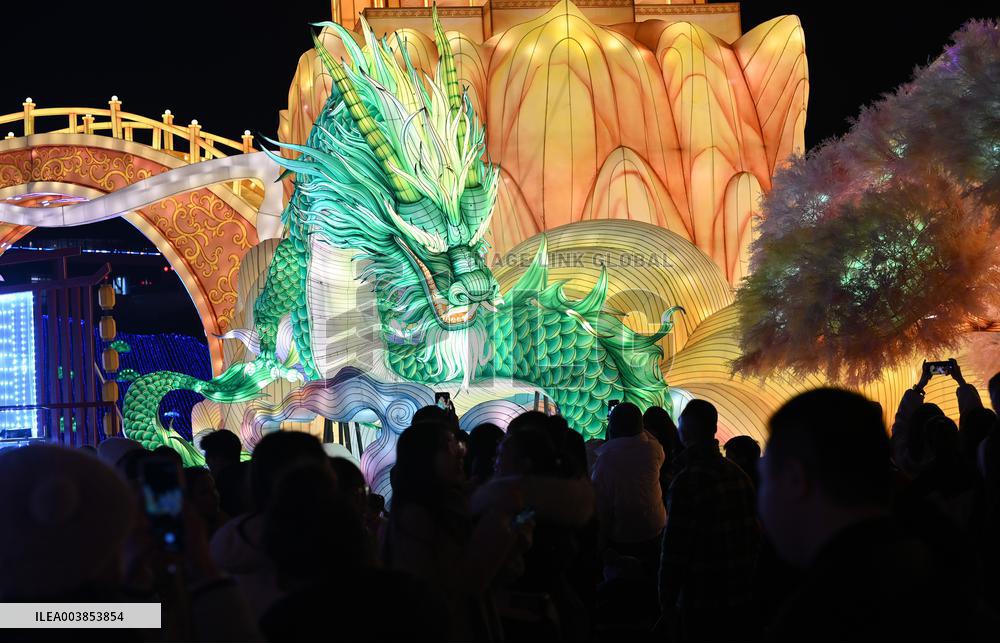 31st Zigong International Dinosaur Lantern Festival & Trade trial Fair