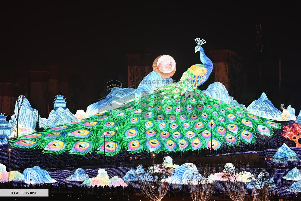 31st Zigong International Dinosaur Lantern Festival & Trade trial Fair
