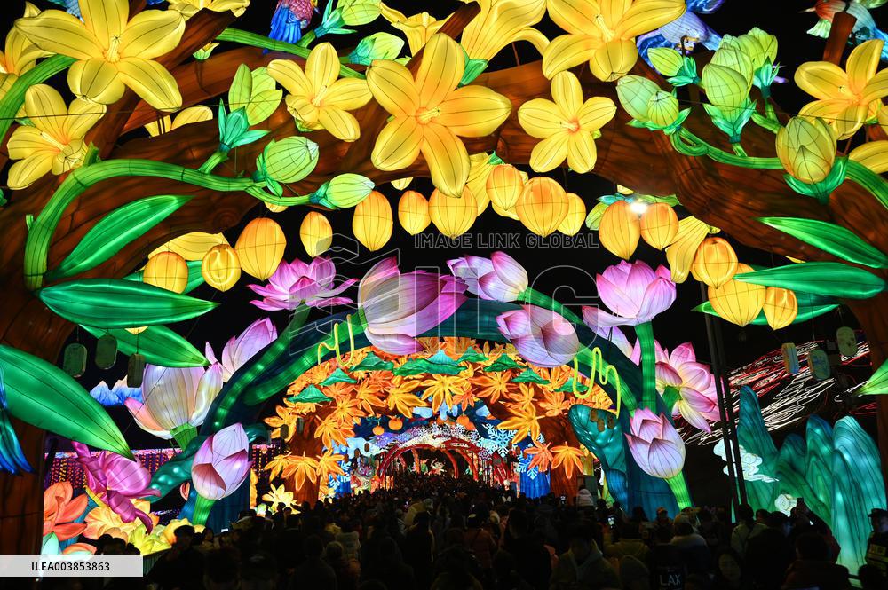 31st Zigong International Dinosaur Lantern Festival & Trade trial Fair