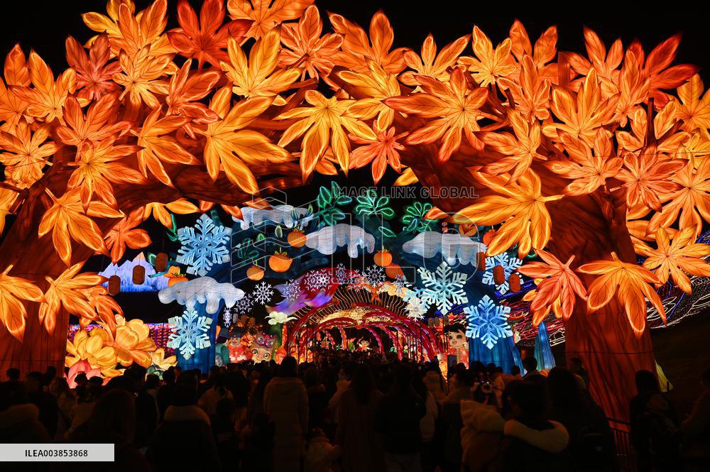 31st Zigong International Dinosaur Lantern Festival & Trade trial Fair