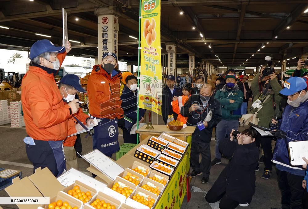 Kumquat auction in Japan