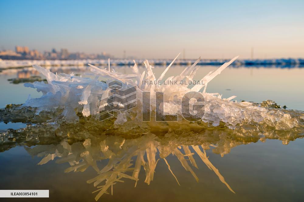 Salt Lake Winter Landscape