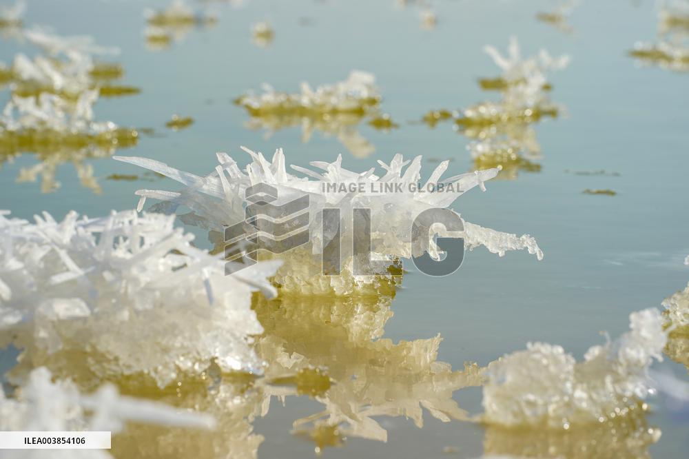 Salt Lake Winter Landscape
