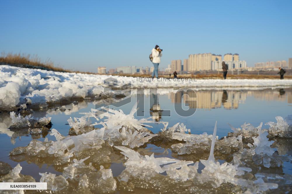 Salt Lake Winter Landscape