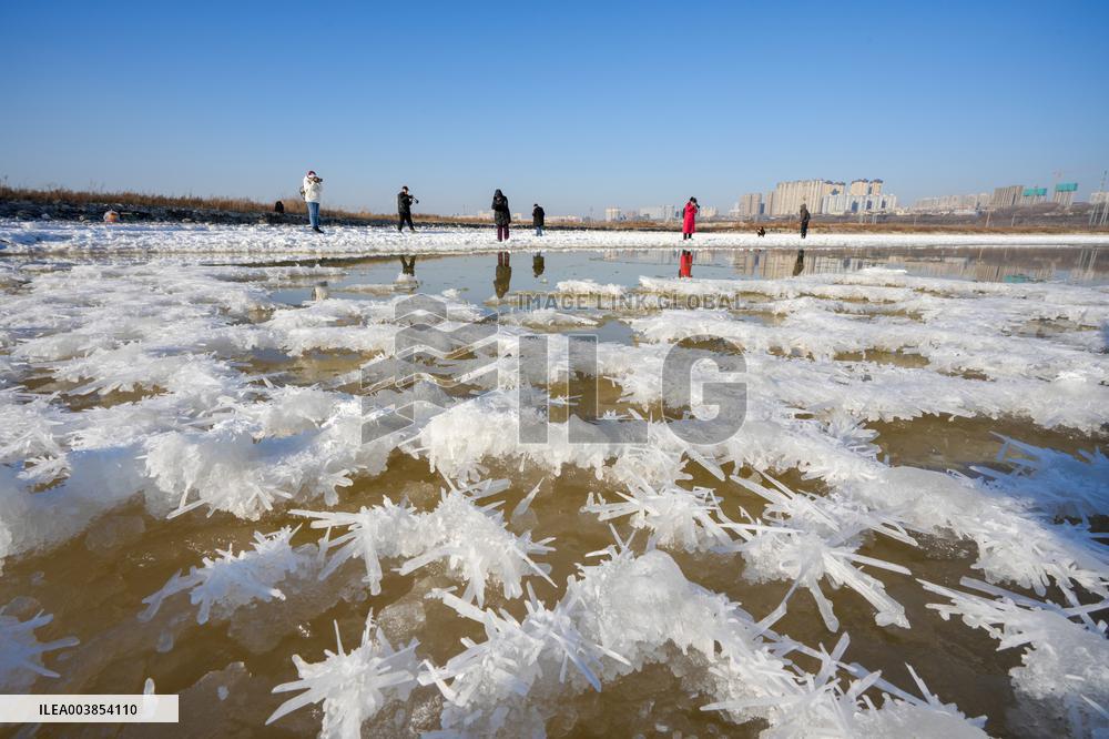 Salt Lake Winter Landscape