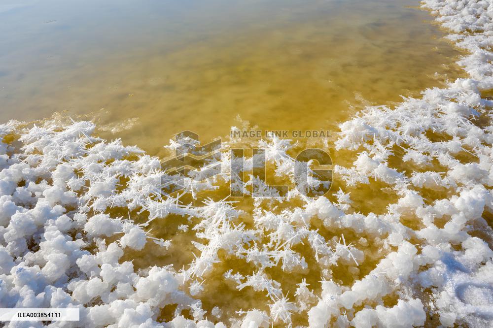 Salt Lake Winter Landscape