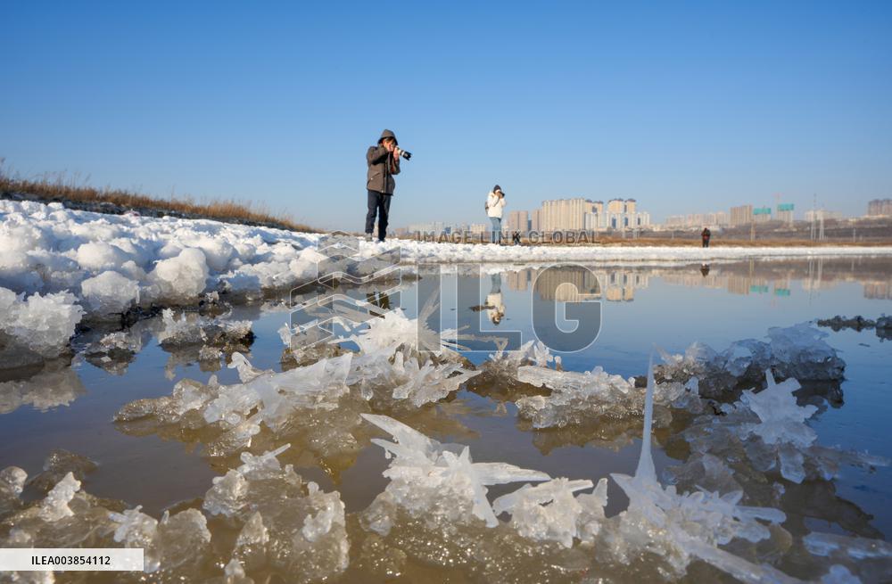 Salt Lake Winter Landscape