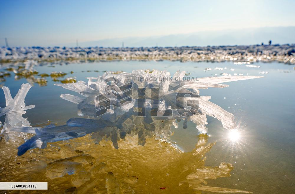 Salt Lake Winter Landscape