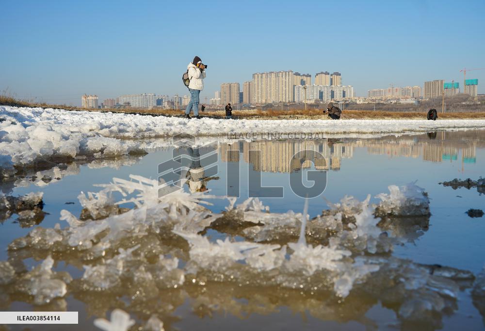 Salt Lake Winter Landscape
