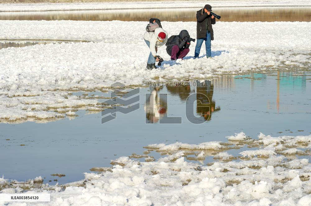 Salt Lake Winter Landscape