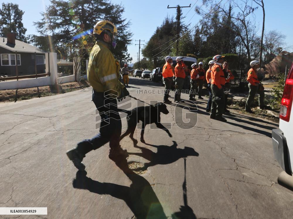 Los Angeles Wildfires Aftermath