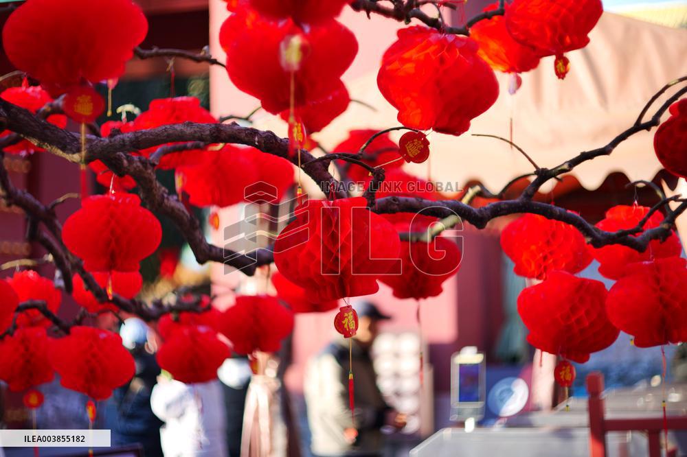 Upcoming Spring Festival