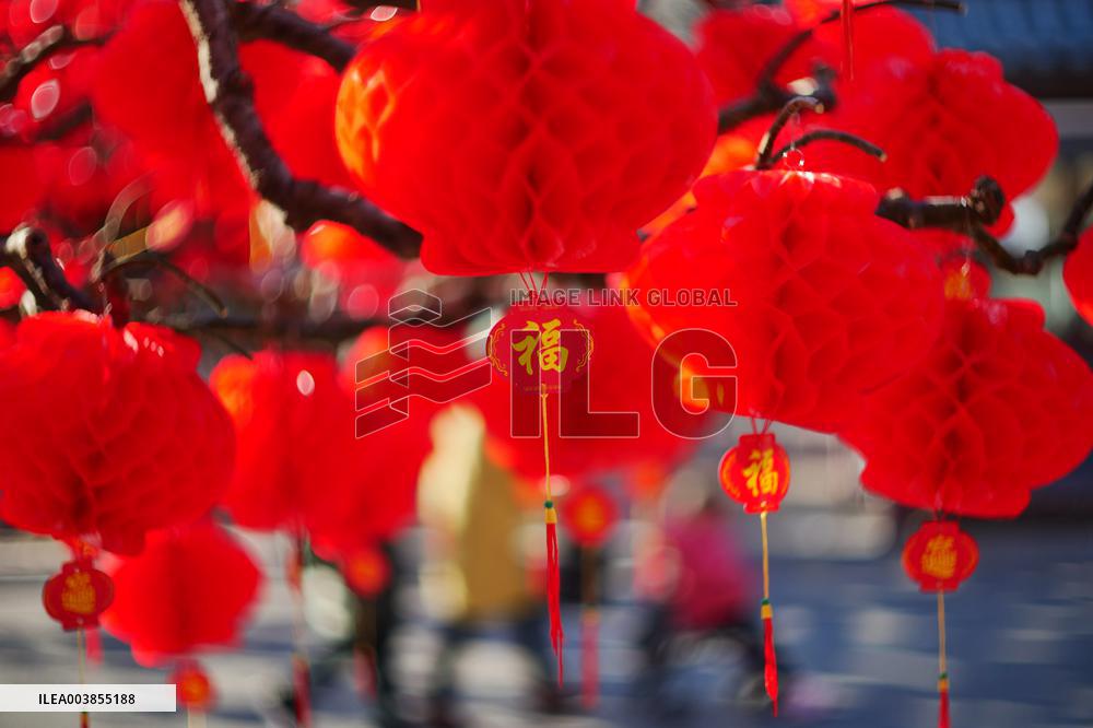 Upcoming Spring Festival